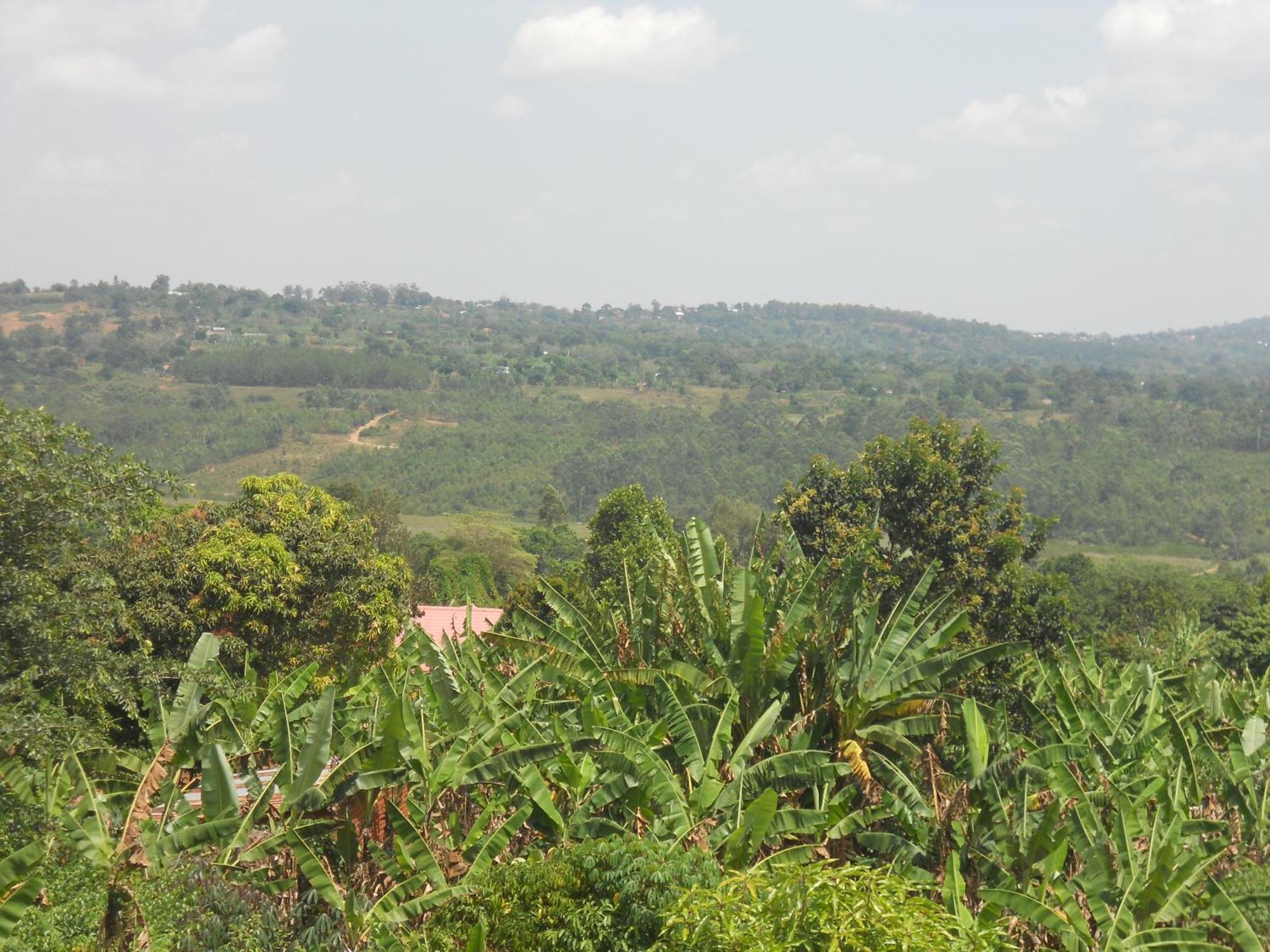 Masaka Backpackers, Tourists Cottage & Campsite ภายนอก รูปภาพ